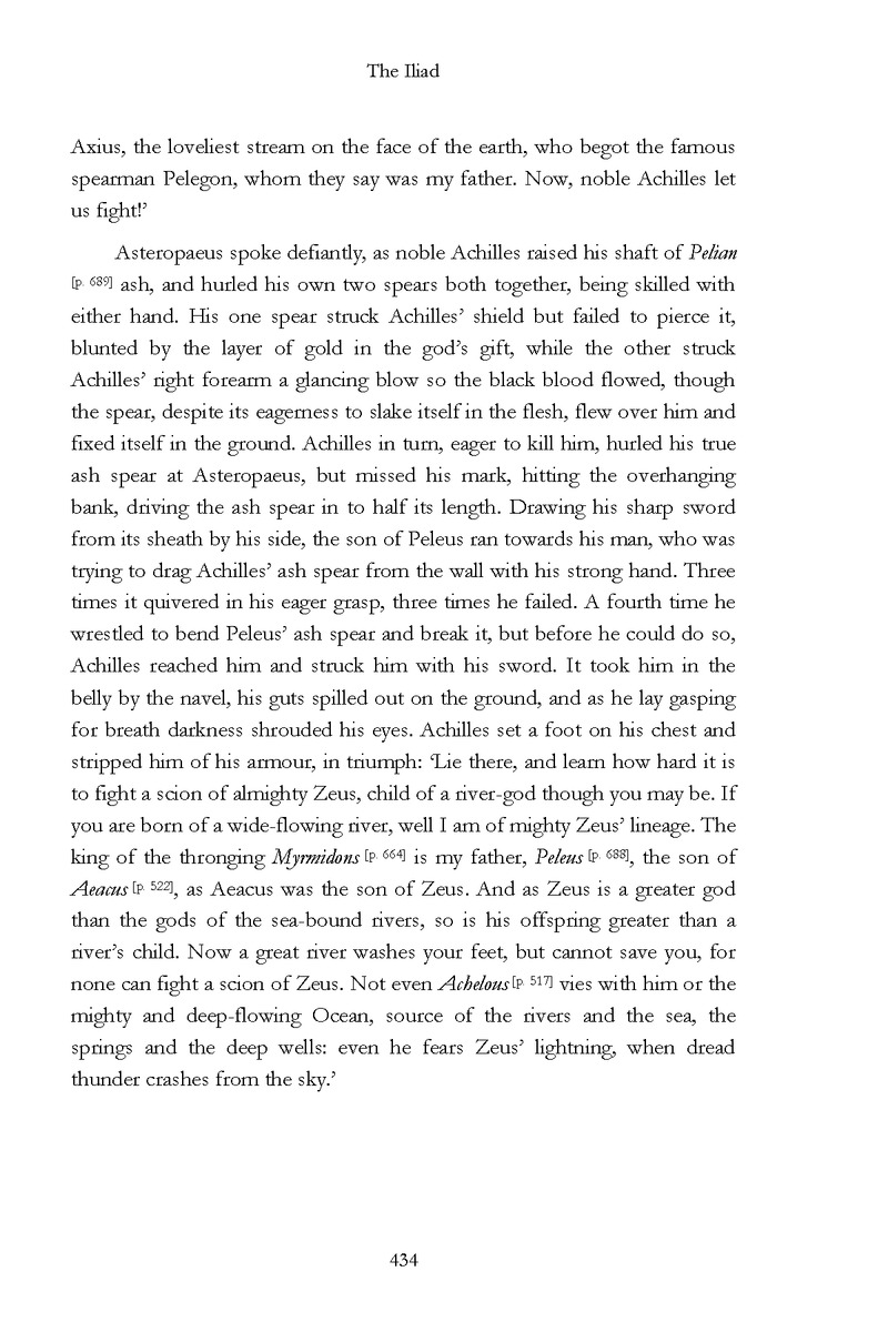 The Iliad - Page 428